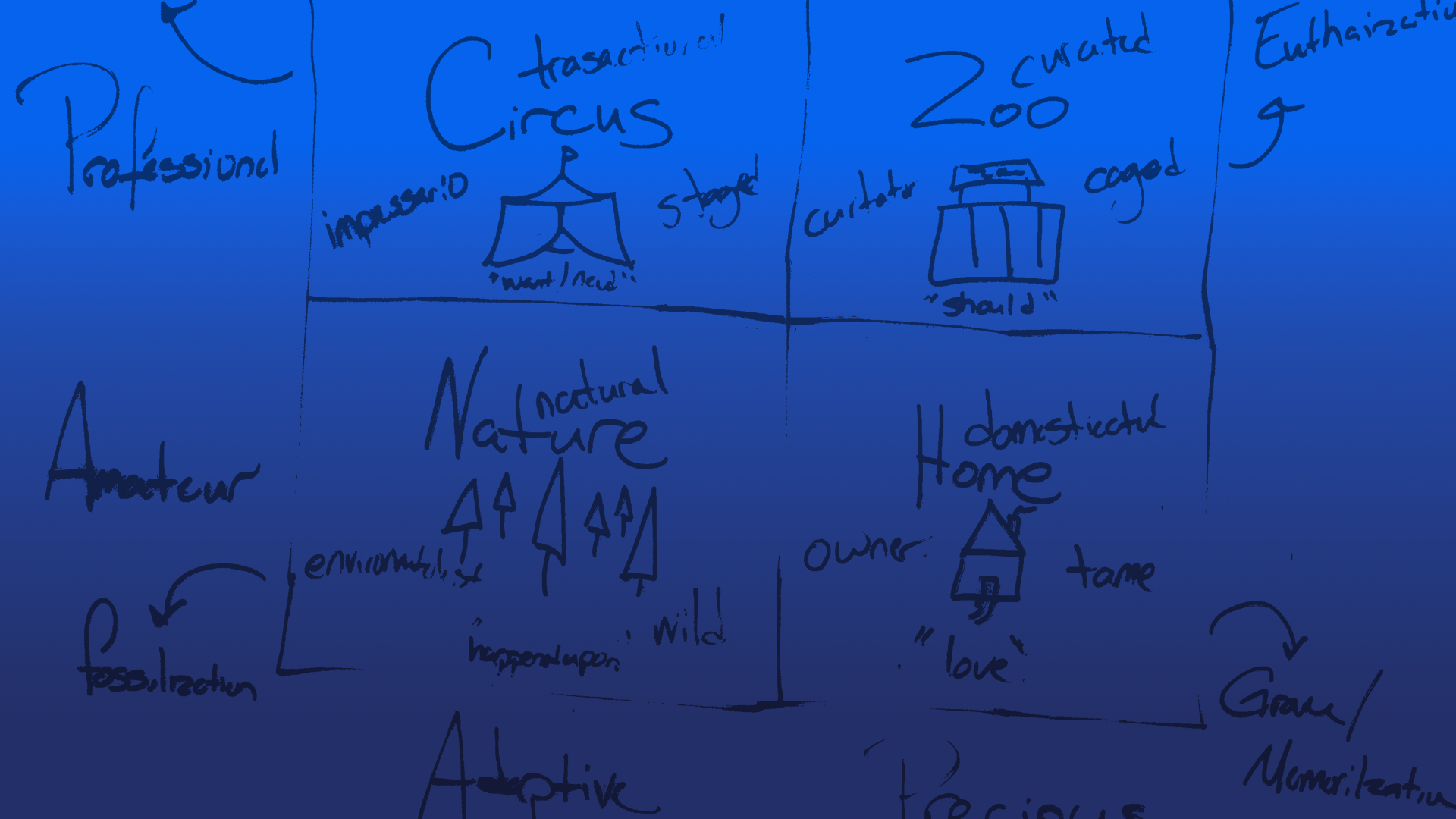 Art Environments Framework: Navigating Complexity in Arts Ecosystems